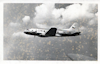 IL-12