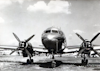 IL-12
