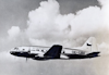 IL-12