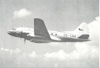 IL-12