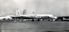 IL-18